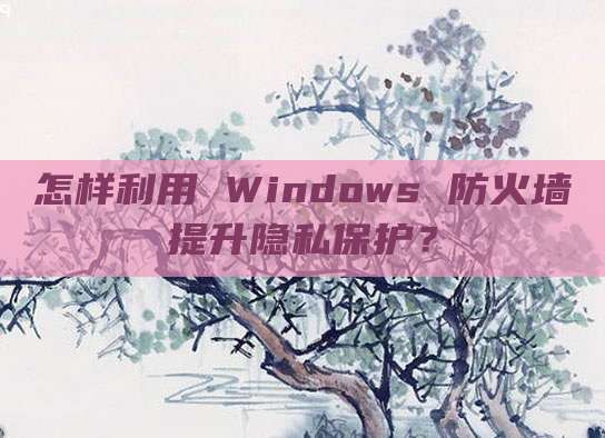 怎样利用 Windows 防火墙提升隐私保护？