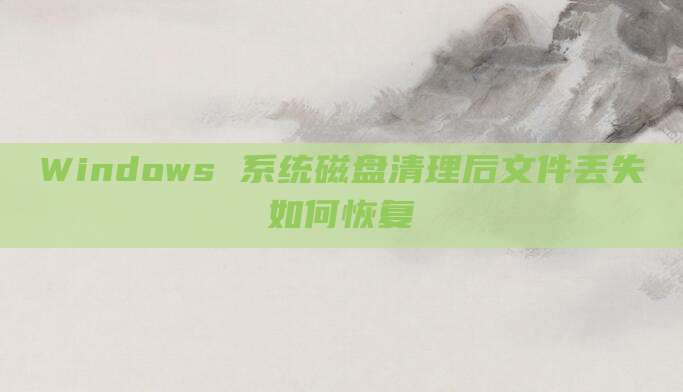 Windows 系统磁盘清理后文件丢失如何恢复