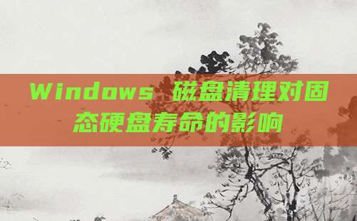 Windows 磁盘清理对固态硬盘寿命的影响