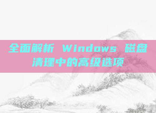 全面解析 Windows 磁盘清理中的高级选项