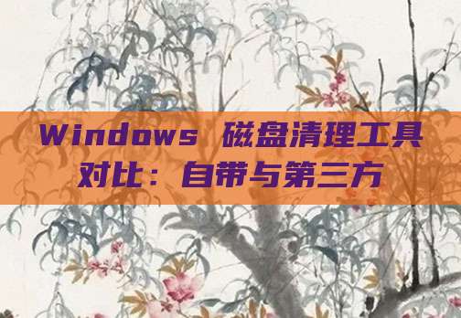 Windows 磁盘清理工具对比：自带与第三方