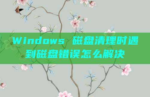 Windows 磁盘清理时遇到磁盘错误怎么解决