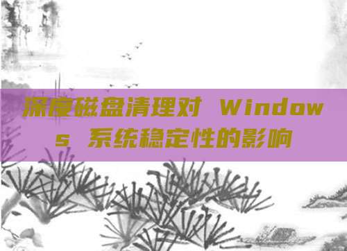 深度磁盘清理对 Windows 系统稳定性的影响