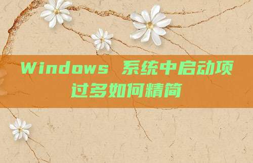 Windows 系统中启动项过多如何精简