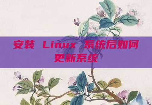 安装 Linux 系统后如何更新系统