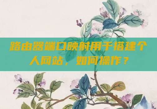 路由器端口映射用于搭建个人网站，如何操作？