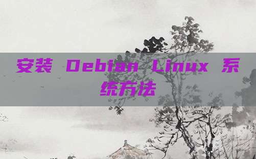 安装 Debian Linux 系统方法