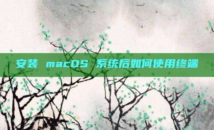安装 macOS 系统后如何使用终端