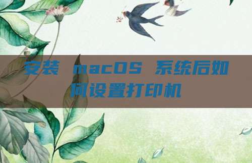 安装 macOS 系统后如何设置打印机