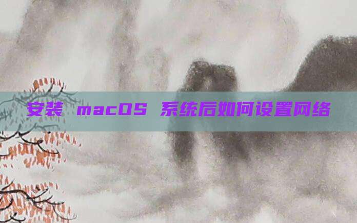 安装 macOS 系统后如何设置网络