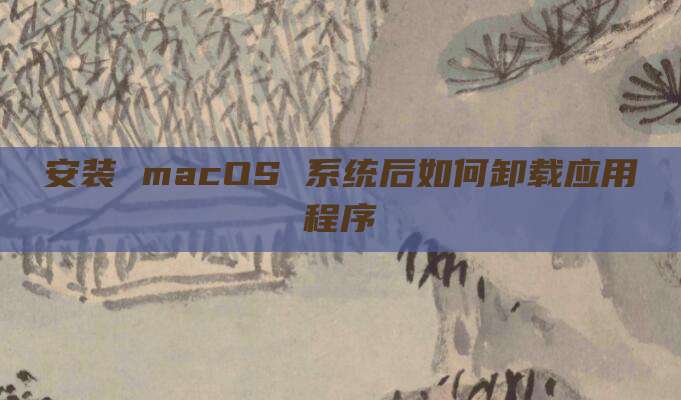 安装 macOS 系统后如何卸载应用程序