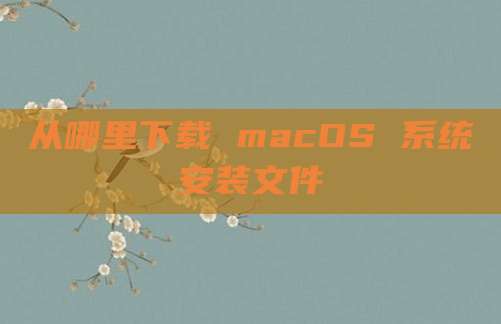 从哪里下载 macOS 系统安装文件