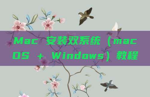 Mac 安装双系统（macOS + Windows）教程