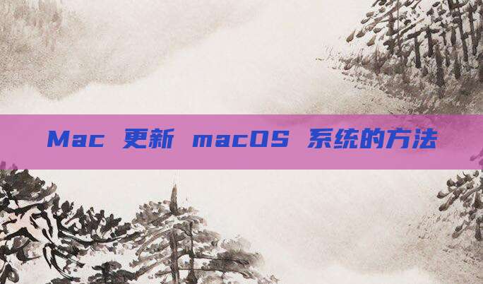 Mac 更新 macOS 系统的方法