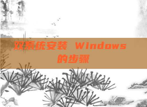 双系统安装 Windows 的步骤