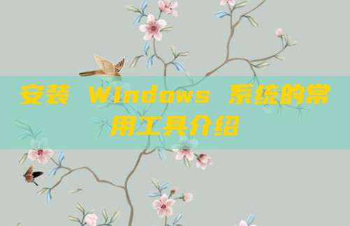 安装 Windows 系统的常用工具介绍