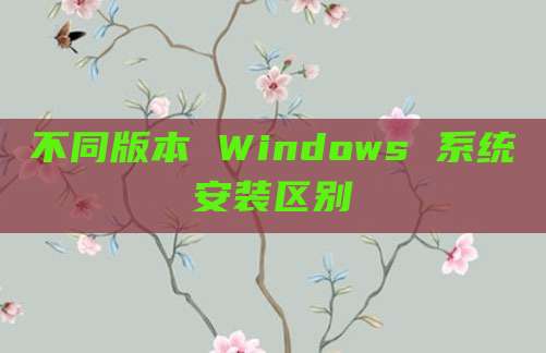 不同版本 Windows 系统安装区别