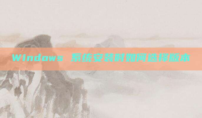 Windows 系统安装时如何选择版本