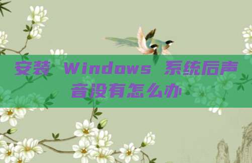 安装 Windows 系统后声音没有怎么办