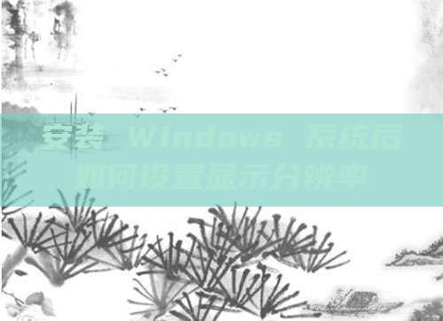 安装 Windows 系统后如何设置显示分辨率