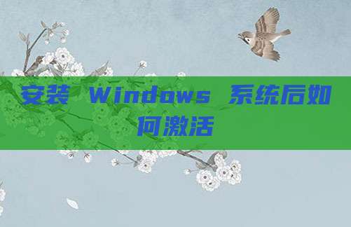 安装 Windows 系统后如何激活