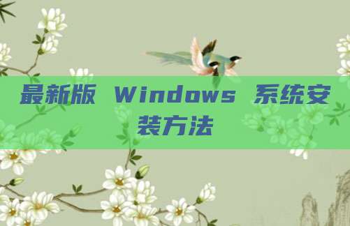 最新版 Windows 系统安装方法