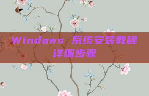 Windows 系统安装教程详细步骤