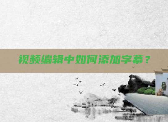 视频编辑中如何添加字幕？