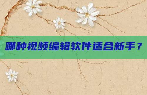 哪种视频编辑软件适合新手？