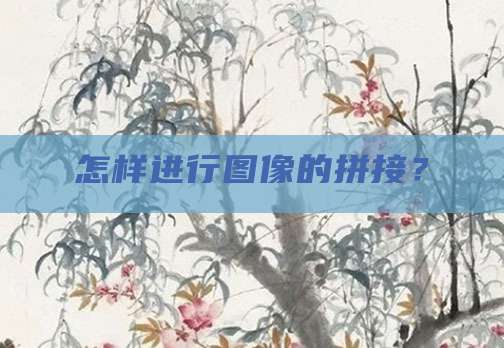 怎样进行图像的拼接？