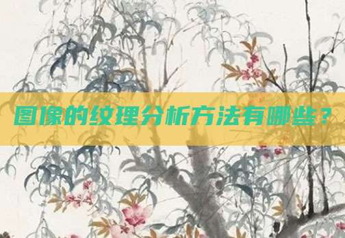 图像的纹理分析方法有哪些？