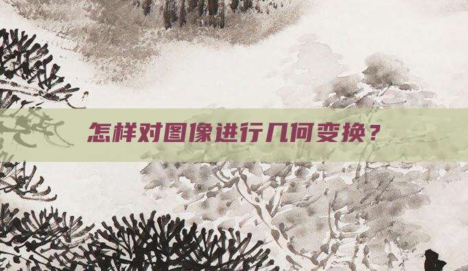 怎样对图像进行几何变换？