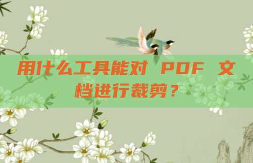 用什么工具能对 PDF 文档进行裁剪？