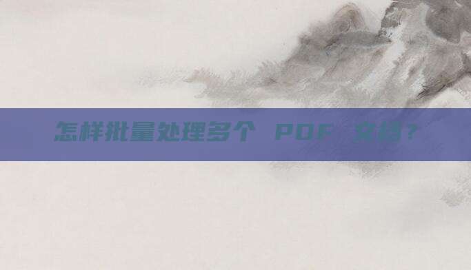 怎样批量处理多个 PDF 文档？