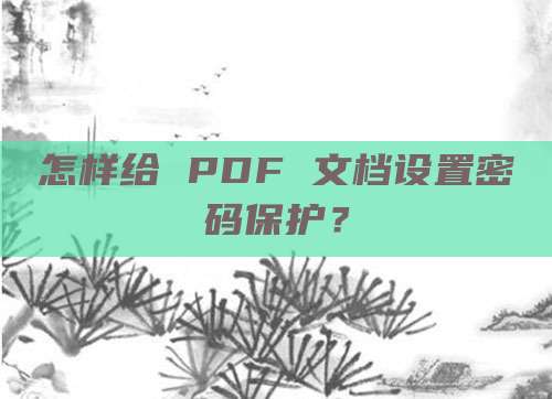 怎样给 PDF 文档设置密码保护？