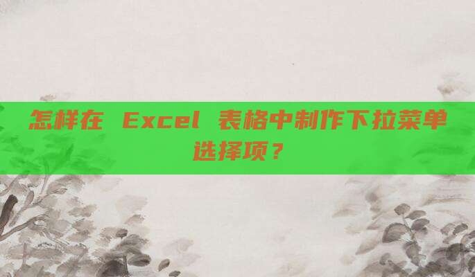 怎样在 Excel 表格中制作下拉菜单选择项？