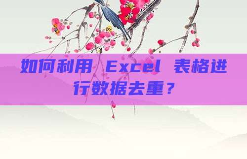 如何利用 Excel 表格进行数据去重？