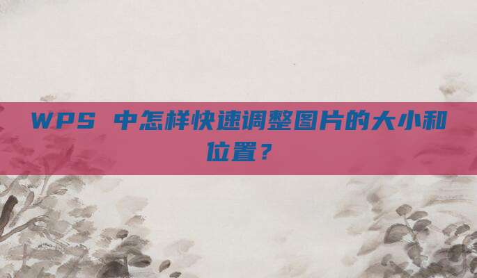 WPS 中怎样快速调整图片的大小和位置？