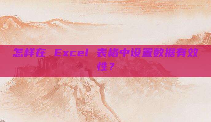 怎样在 Excel 表格中设置数据有效性？