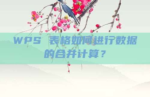 WPS 表格如何进行数据的合并计算？
