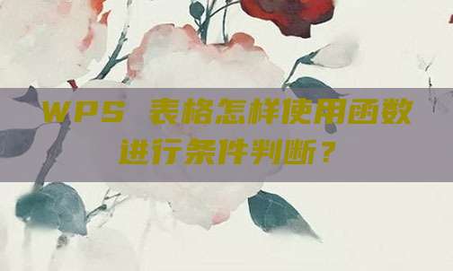 WPS 表格怎样使用函数进行条件判断？