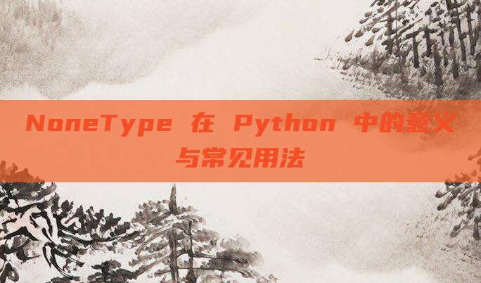NoneType 在 Python 中的意义与常见用法