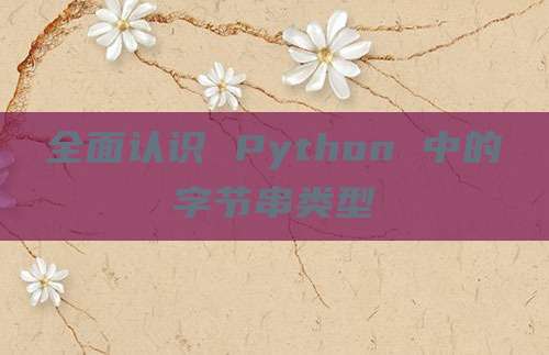 全面认识 Python 中的字节串类型