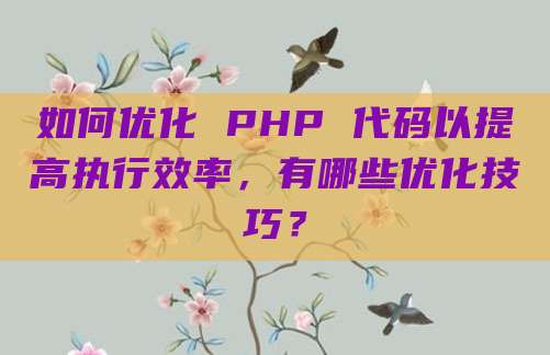 如何优化 PHP 代码以提高执行效率，有哪些优化技巧？