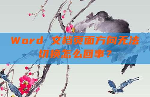 Word 文档页面方向无法切换怎么回事？